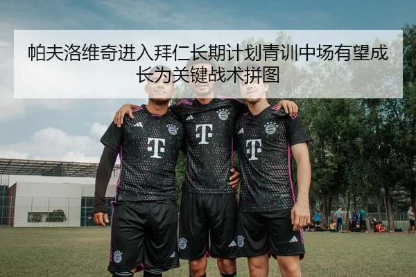 帕夫洛维奇进入拜仁长期计划青训中场有望成长为关键战术拼图