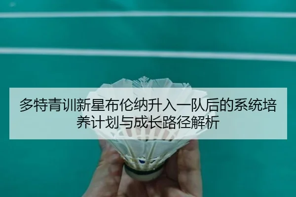多特青训新星布伦纳升入一队后的系统培养计划与成长路径解析
